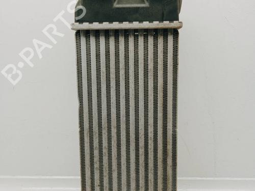 Used Intercooler CITROËN BERLINGO / BERLINGO FIRST MPV (MF_, GJK_, GFK_) 1.6 HDI 75 (MF9HW, GJ9HWC, GF9HWC, GN9HWC) (75 hp) 11153358