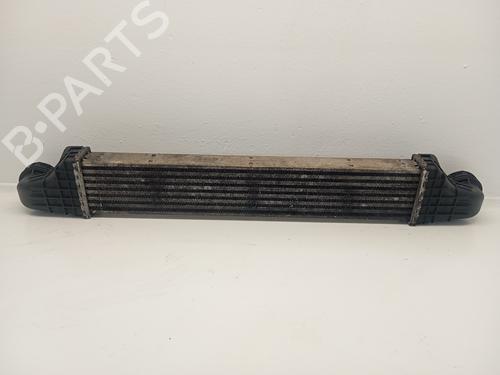 Intercooler MERCEDES-BENZ E-CLASS (W211) | BP31616346M30