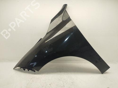 left-front-fenders-renault-megane-iii-hatchback-bz01_-b3_-2008-31620613 main image