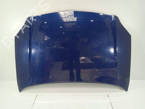 Used Hood Hood 13450739 13450739