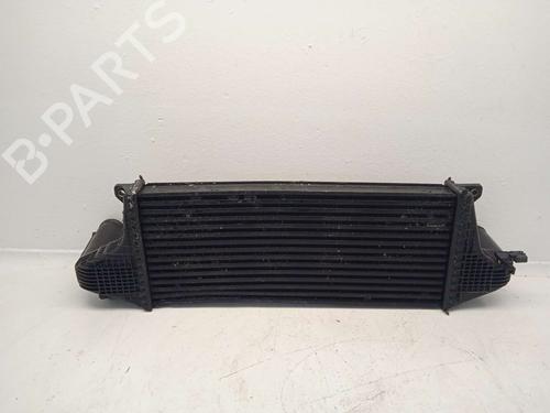 Intercooler TATA ARIA 2.2 Di AWD | BP34630917M30 - Image 4