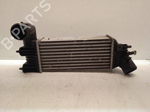 Used Intercooler CITROËN C5 I (DC_) 2.0 HDi (DCRHZB, DCRHZE) (109 hp) 4296521