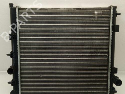 Used Water radiator PEUGEOT 207 (WA_, WC_) [2006-2015]  25746890