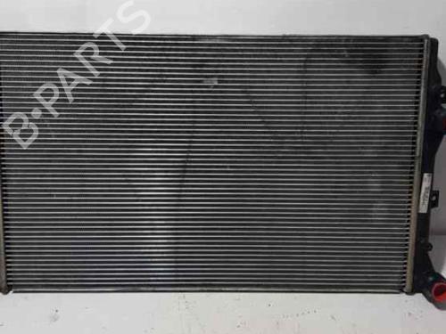 Used Water radiator SEAT TOLEDO III (5P2) 1.9 TDI (105 hp) 4325540