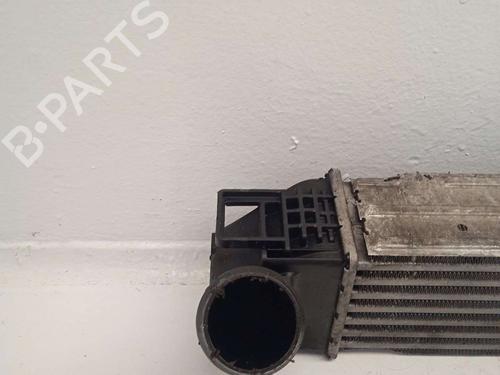 Intercooler DACIA DUSTER (HS_) | BP33605601M30 - Image 3