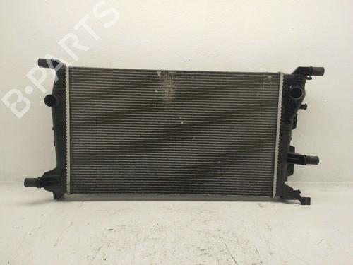 Used Water radiator RENAULT MEGANE III Hatchback (BZ0/1_, B3_) [2008-2026]  31620642