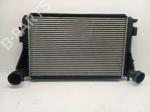 Used Intercooler VW GOLF PLUS V (5M1, 521) [2004-2013]  17328769