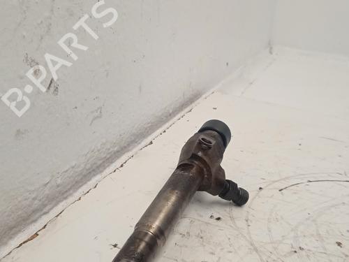Injector RENAULT MEGANE III Hatchback (BZ0/1_, B3_) | BP31829206M100