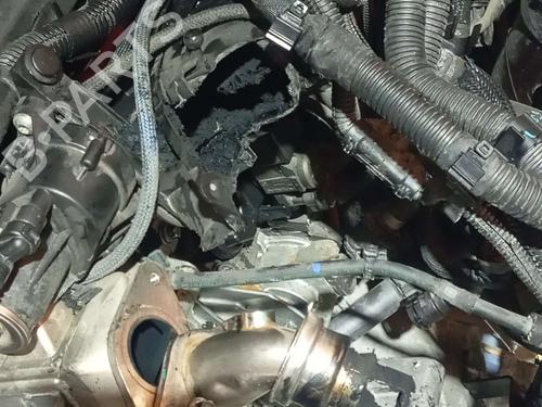 Engine BMW 3 Touring (G21, G81) | BP23221006M1
