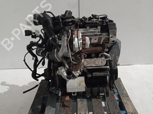 Used Engine SEAT IBIZA IV (6J5, 6P1) 1.6 TDI (90 hp) 31774994
