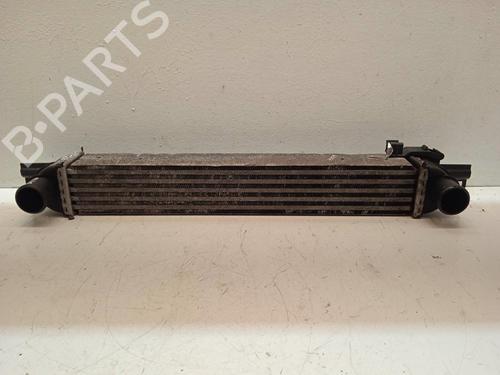 Used Intercooler PEUGEOT BIPPER (AA_) 1.4 HDi (68 hp) 4345296