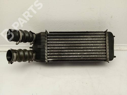 Used Intercooler Intercooler PEUGEOT 207 (WA_, WC_) 1.6 HDi (90 hp) 11153201 11153201