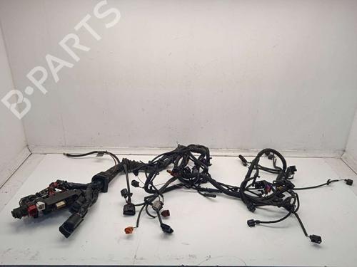 Used Wiring harness AUDI A5 (8T3) 3.0 TDI quattro (240 hp) 20137681