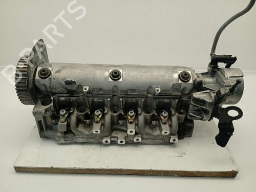 Used Cylinder head RENAULT MEGANE II (BM0/1_, CM0/1_) 1.9 dCi (131 hp) 25867633