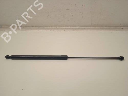 Used Hood lift support DACIA SANDERO II 1.5 Blue dCi 95 (B8JL) (95 hp) 13962992