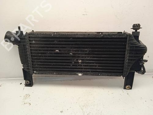 Used Intercooler NISSAN PATHFINDER III (R51) 2.5 dCi (174 hp) 11155969