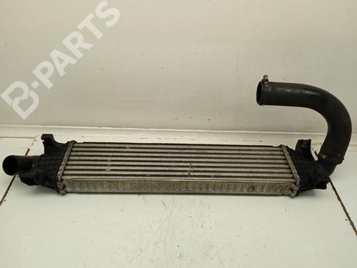 Used Intercooler Intercooler FORD C-MAX (DM2) 2.0 TDCi (136 hp) 11155923 11155923