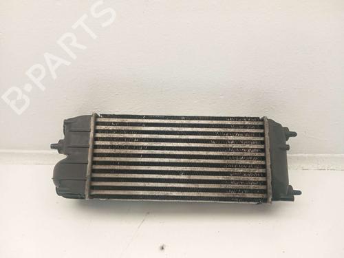 Intercooler FORD FIESTA VI (CB1, CCN) | BP31619500M30 - Image 4