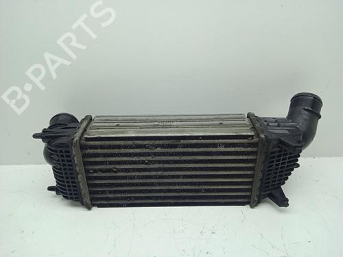 Intercooler CITROËN C5 III (RD_) 2.0 HDi 165 (RDRHHA, RDRHH8) | BP39685109M30 - Image 4