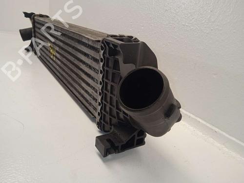 Intercooler FORD S-MAX (WA6) | BP22755891M30