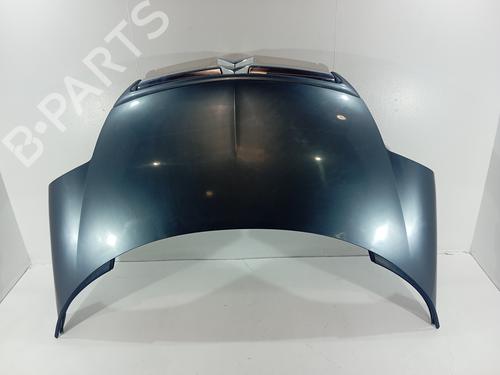 BP31617530C1 main image