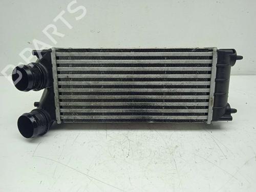 Used Intercooler CITROËN C4 Grand Picasso I (UA_) 1.6 HDi (109 hp) 11167226