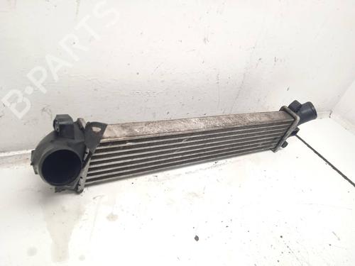 Intercooler RENAULT KANGOO (KC0/1_) 1.5 dCi | BP11157545M30 - Image 2