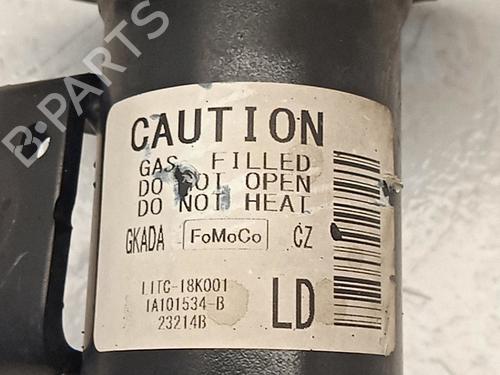 Left front shock absorber FORD PUMA (J2K, CF7) 1.0 EcoBoost | BP31620333M16