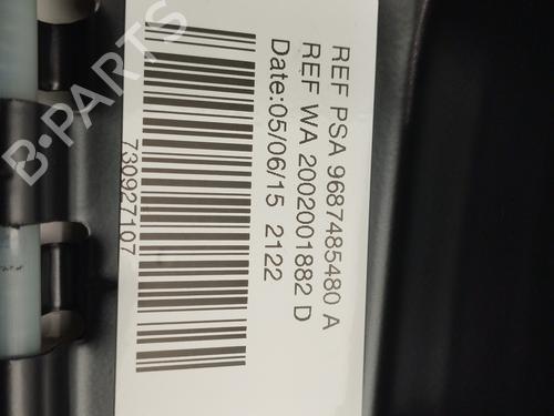 Soltag CITROËN C4 II (NC_) | BP24365469C124