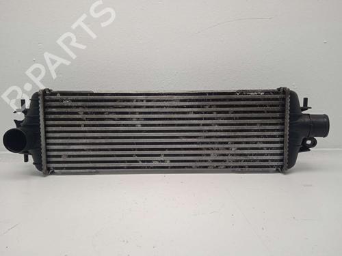 Used Intercooler RENAULT TRAFIC II Van (FL) [2001-2026]  24309510