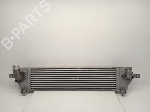 Intercooler Intercooler NISSAN QASHQAI I (J10, NJ10) 2.0 dCi (150 hp) 35723020 35723020