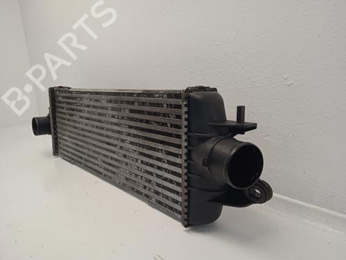 Intercooler RENAULT TRAFIC II Bus (JL) 2.5 dCi 135 (JL0D) | BP24309510M30 