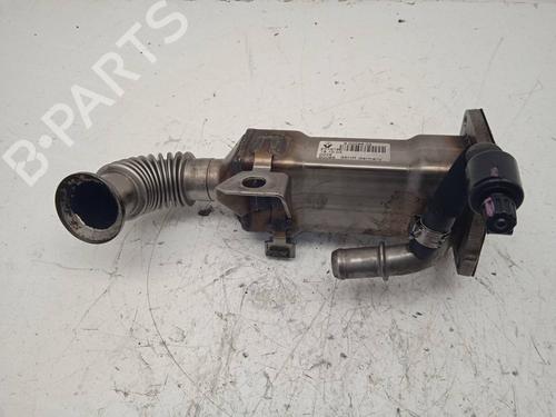 Used Egr RENAULT GRAND SCÉNIC II (JM0/1_) [2004-2009]  13963003