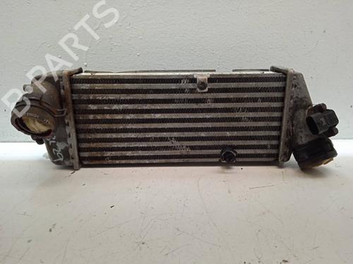 Used Intercooler KIA RIO II Saloon (JB) [2005-2011]  11148777