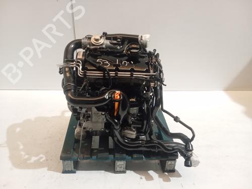 Engine VW GOLF V (1K1)  | BP31616264M1  - Image 6