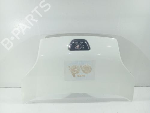 Used Hood Hood PEUGEOT BIPPER (AA_) 1.3 HDi 75 (75 hp) 40124771 40124771