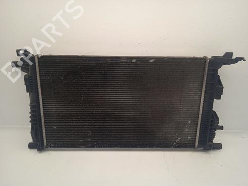 Used Water radiator RENAULT SCÉNIC III (JZ0/1_) [2008-2016]  31806230