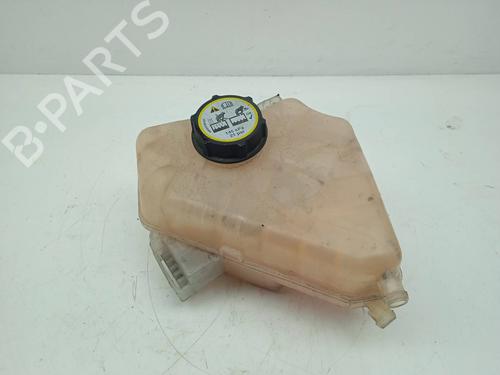 Used Expansion tank FORD FIESTA VI (CB1, CCN) 1.5 TDCi (75 hp) 11914025