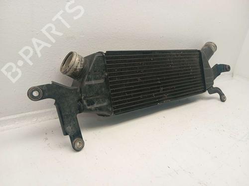 Intercooler CITROËN C-CROSSER (VU_, VV_) 2.2 HDi | BP32858763M30 - Image 3