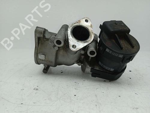 Egr CITROËN C5 II (RC_) | BP24980025M69