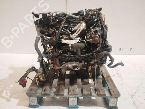 Used Engine FORD FIESTA VI (CB1, CCN) [2008-2026]  31617632