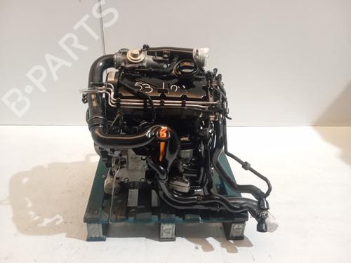 Used Engine VW GOLF V (1K1) [2003-2010]  31616264