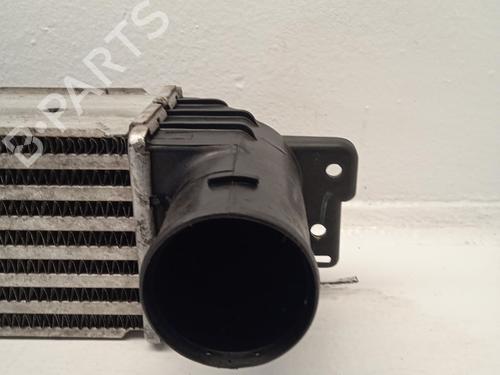 Intercooler CHEVROLET CAPTIVA (C100, C140)  | BP31621050M30 