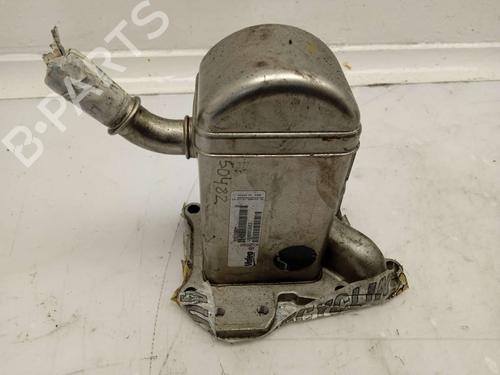 Used Egr RENAULT MEGANE III Hatchback (BZ0/1_, B3_) 1.9 dCi (BZ0N, BZ0J) (131 hp) 13962965