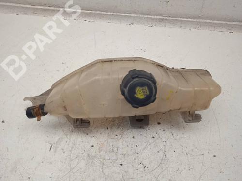 Used Expansion tank RENAULT CLIO III (BR0/1, CR0/1) 1.5 dCi (C/BR0G, C/BR1G) (68 hp) 11157055