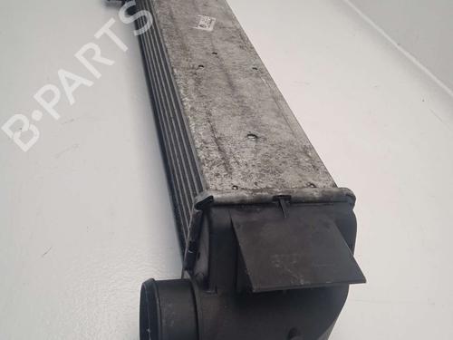 Intercooler BMW 5 (E39) 525 d | BP21220351M30