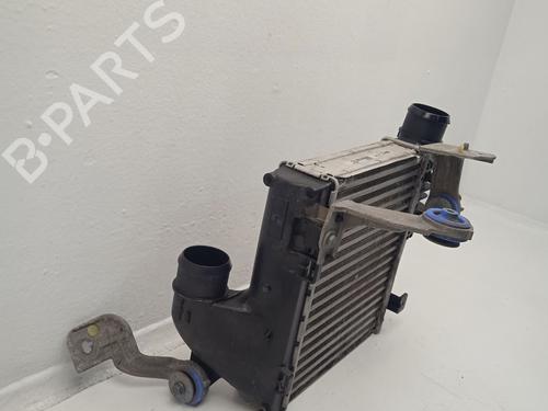 Intercooler CITROËN C4 Picasso I MPV (UD_)  | BP31619095M30 