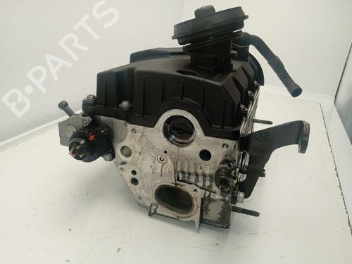 Cylinder head SEAT IBIZA III (6L1) | BP26214075M5