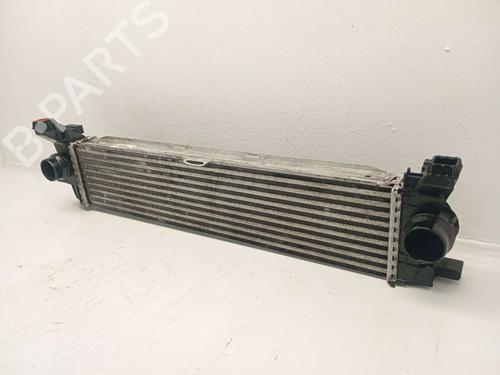 Intercooler MERCEDES-BENZ VITO Van (W447) | BP31620006M30