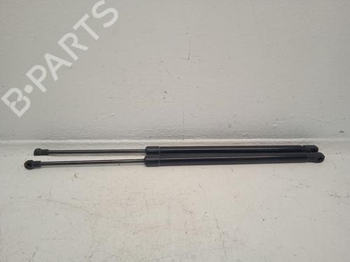 tailgate-lift-support-nissan-juke-f16_-2019-32505368 main image
